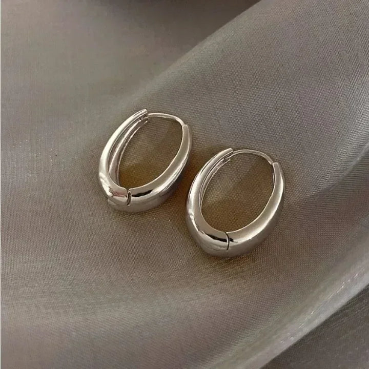Silver &amp; Gold Hoop Earrings